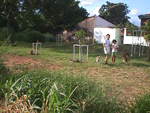 Le Parc du S&eacute;minaire - The Seminary Park